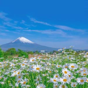 ass鲜嫩小泬pics高清
