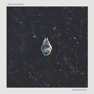 ass鲜嫩小泬pics高清
